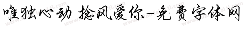 唯独心动 捻风爱你字体转换
